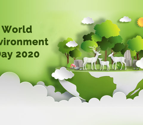 world-environment-day-2020